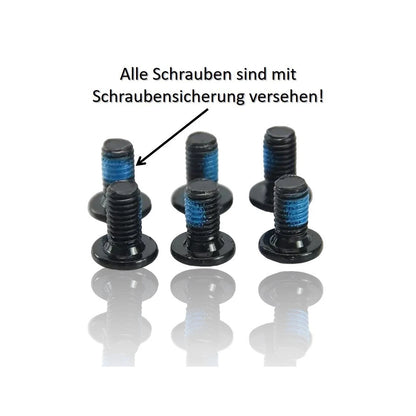 Bremsscheibe 203 mm Edelstahl – 6-Loch – Sechs Schrauben mit blauem Sicherungslack
