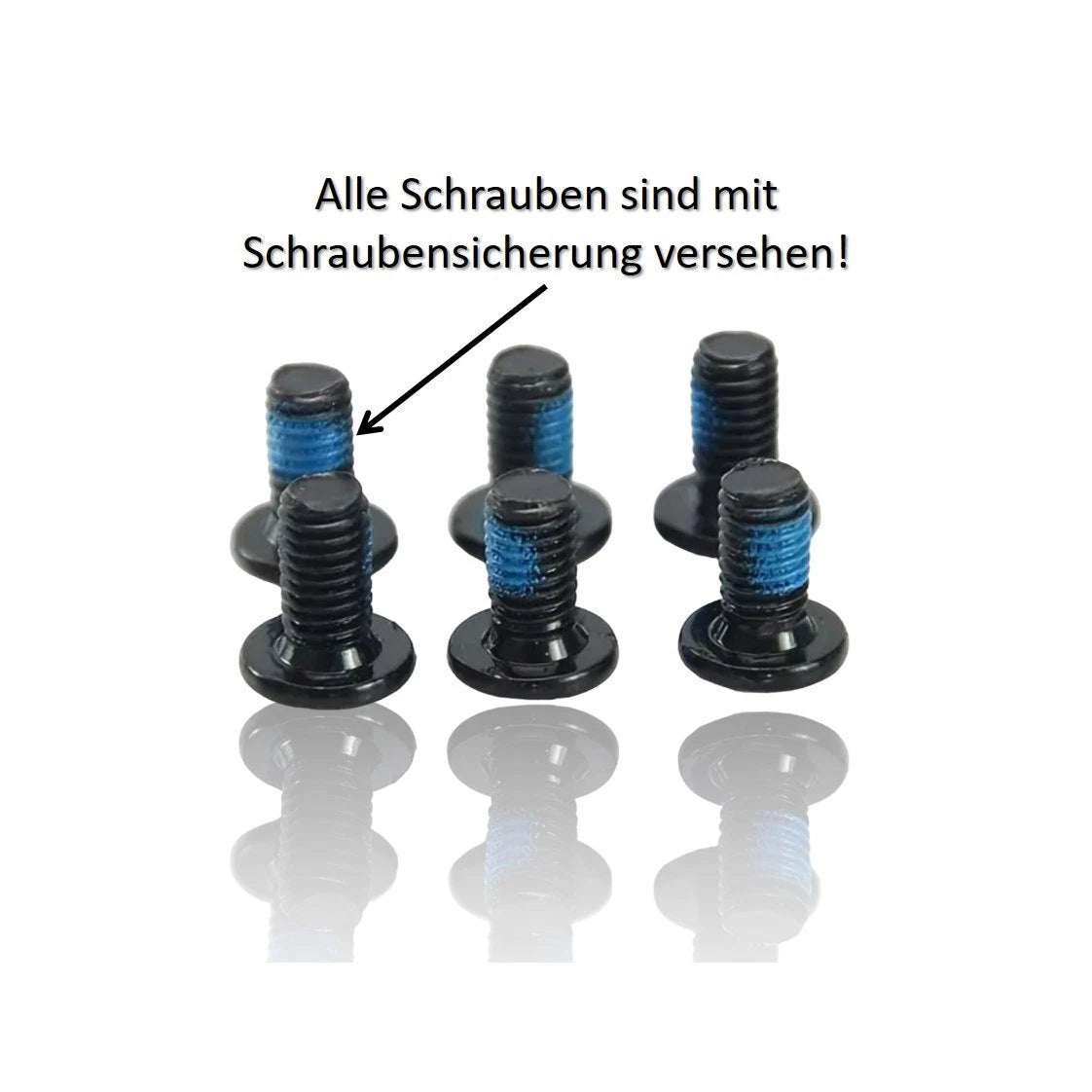 Bremsscheibe 140 mm Edelstahl – 6-Loch – Sechs Schrauben mit blauem Sicherungslack