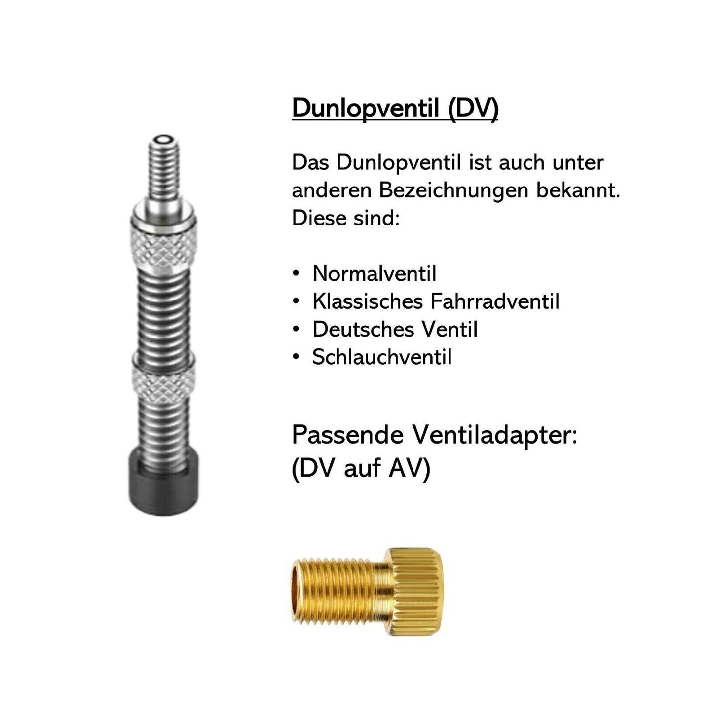 Fahrrad Ventiladapter DV Dunlop SV Sclaverand AV Autoventil Französisch Set